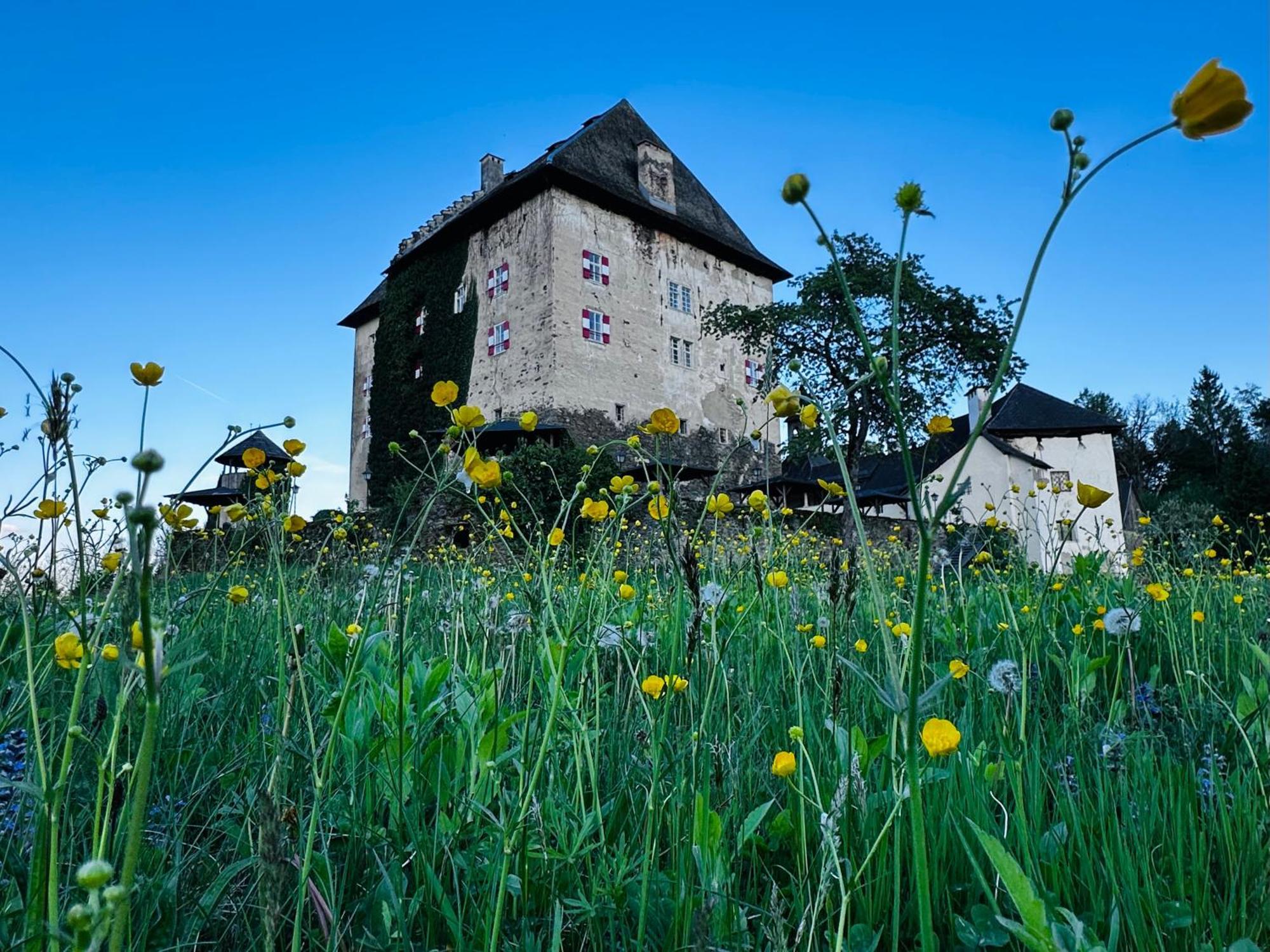 Schloss Moosburg Gaestehaus Exterior photo